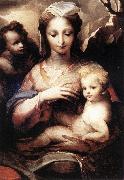 BECCAFUMI, Domenico Madonna with the Infant Christ and St John the Baptist  gfgf China oil painting reproduction